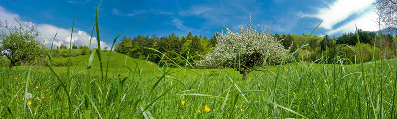 un dimanche a la campagne