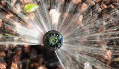 irrigazione a pioggia