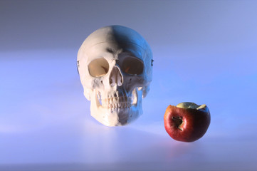 Totenkopf als Symbolaufnahme