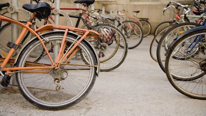Fototapeta na wymiar Bicycles in a row