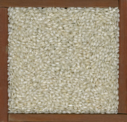 arborio rice background