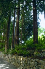 Stone wall and path along lush forest