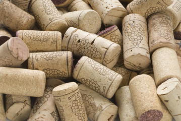 CORCHOS