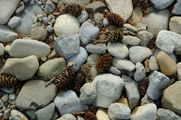 Rocks and pinecones