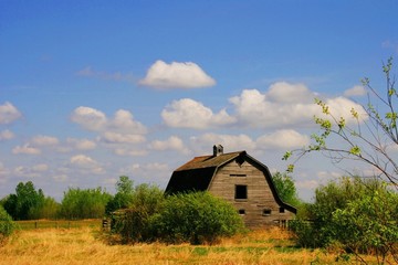 Obraz premium Abandoned barn