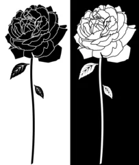Crédence de cuisine en verre imprimé Fleurs noir et blanc Art Rose