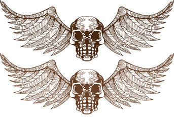 Obraz premium Winged Skull