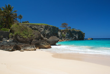 Fototapeta na wymiar dream tropical beach in Dominican Republic