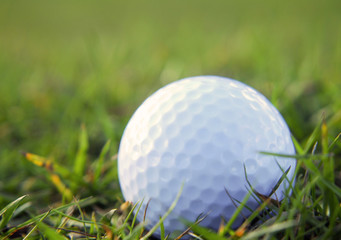 Golf ball in rough grass