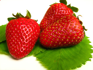 fresh and tasty strawberries