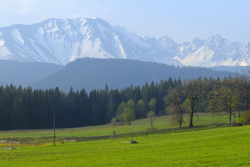Mountains seen from Bukowina