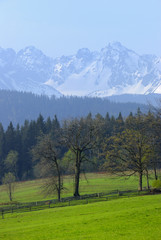 Tatra mountains as seen from Bukowina