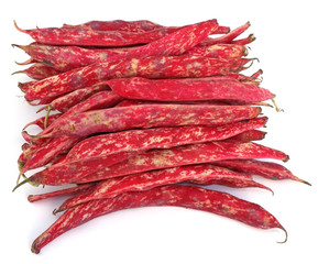 des gousses de haricots marbrés