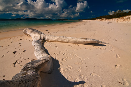Whitsunday Island, Australia