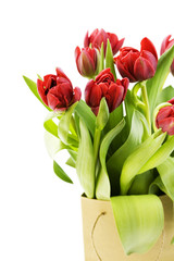 fresh tulips