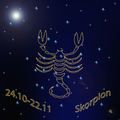 skorpion © jaschin
