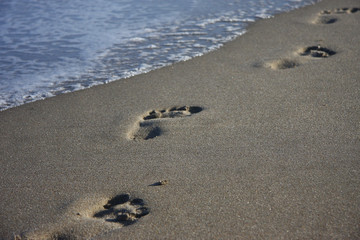 Fototapeta na wymiar ślady stóp na piasku