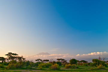 Kilimanjaro at Sunrise