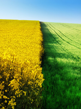 Agriculture