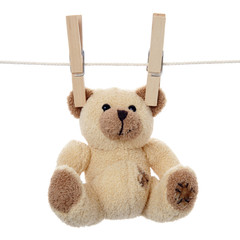 Petit ours brun suspendu sur une ligne © Frog 974