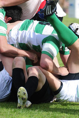 Rugby