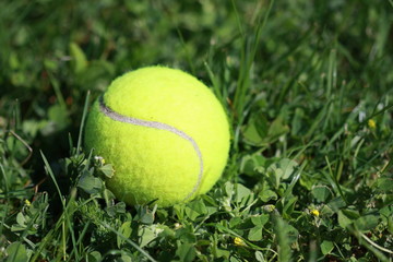balle de tennis sur gazon