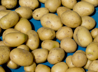 Kartoffeln auf dem Wochenmarkt