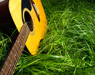 Guitar in Grass - 13968556