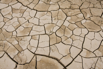 Cracked mud texture