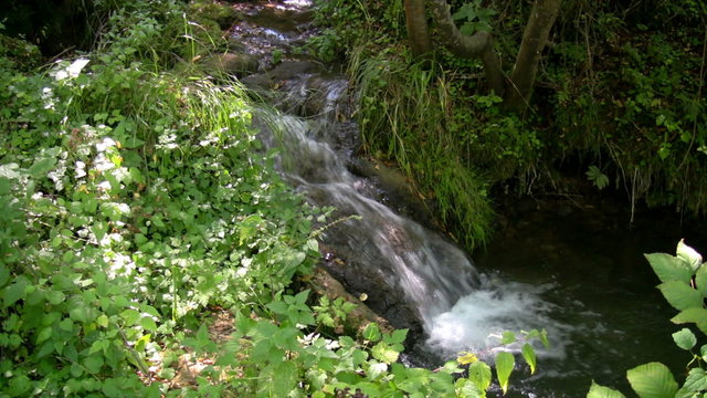 Mountain stream 8