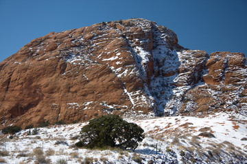 Fototapeta na wymiar Snow on the Arizona Landscape