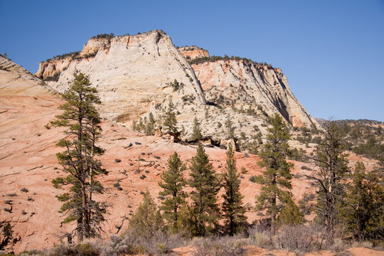 Zion National Park Landscape