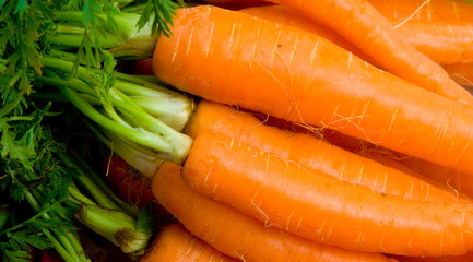 Bunch of Baby Carrots