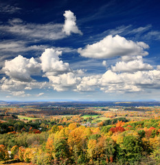 The foliage scenery