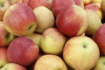 red and yellow apples