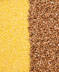 Buckwheat and millet background