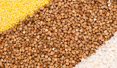 Millet, buckwheat, rice background