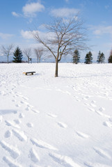 Footprint in the snow, bald tree and vacant chair