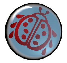 Button Marienkäfer – Glückssymbol