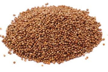 Spices