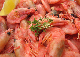 Shrimps, lemon and garden cress