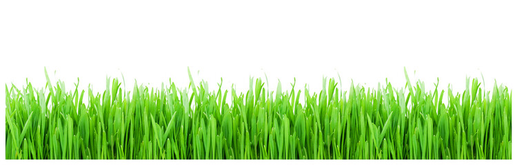 Green grass