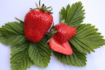Erdbeeren