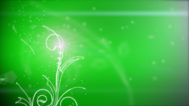 Vector flowers