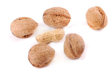 nut