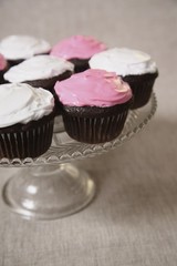 Cupcakes on serving plate