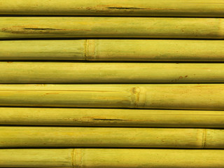 Bamboo stalks