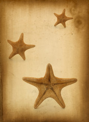 Antique Paper with Starfish