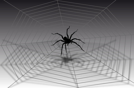 araign&eacute;e sur ca toile
