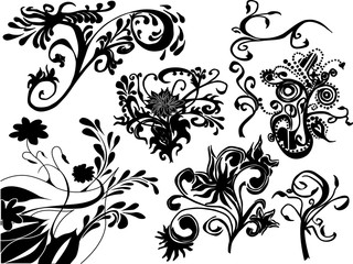 Some flowers on white background